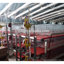 high quality chicken manure removal system for poultry farm